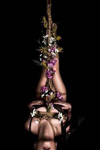 Olexandra veklenko image