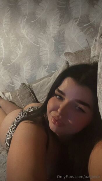 Paigexb page 4 image