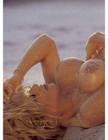 Pamela anderson page 2 image