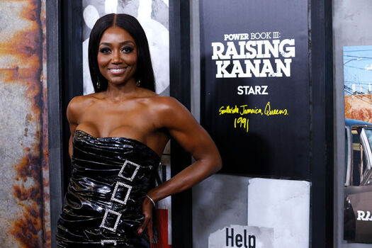 Patina miller image