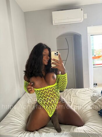 Patricia bacelar image