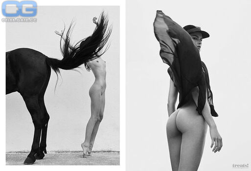 Pauline moulettes image