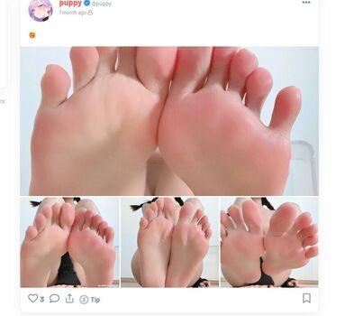 Pengpengdrsss image