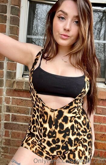 Phatcat image