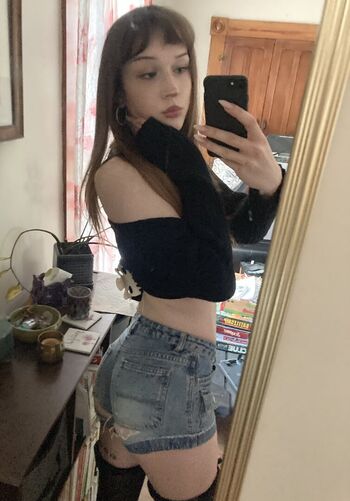Phoebefawn image