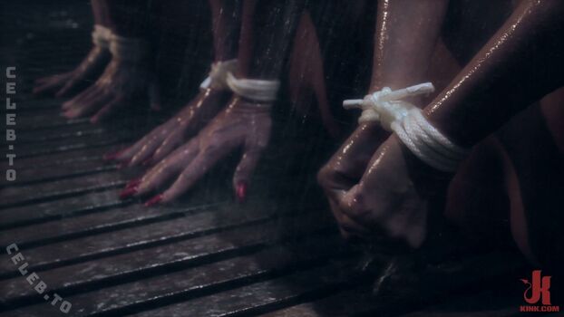 Phoenix marie page 3 image