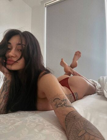 Pingvidii page 2 image