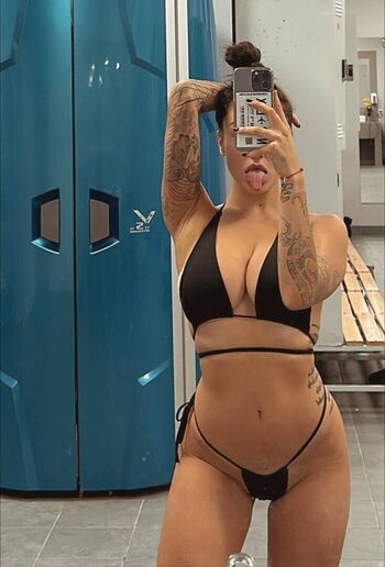 Pingvidii page 2 image