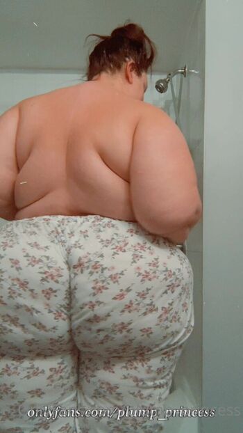 Plumpprincess image