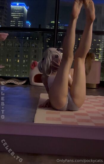 Pockycats 1 page 2 image