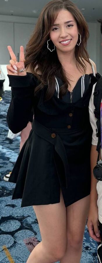 Pokimane 1 page 29 image