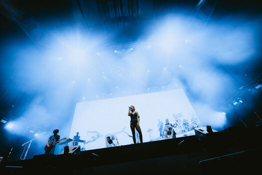 Pommelien thijs image