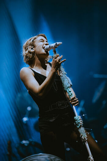 Pommelien thijs image