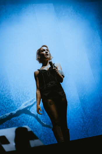 Pommelien thijs image