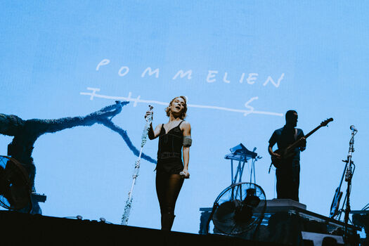 Pommelien thijs image