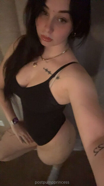 Postpumpprincess image