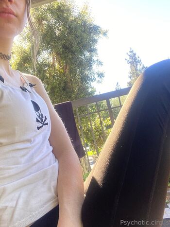 Psychoticcircus page 2 image