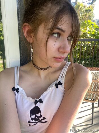 Psychoticcircus page 2 image