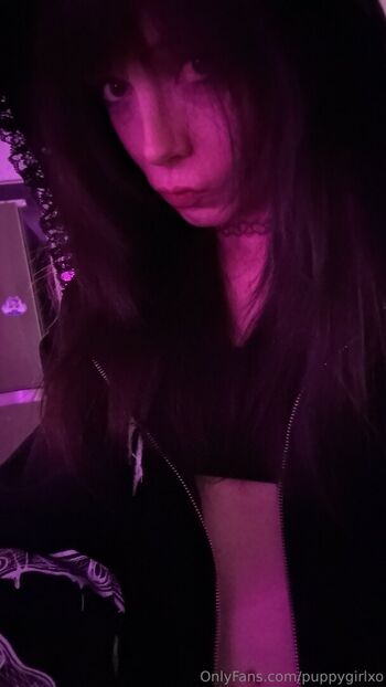 Puppygirlx3 image
