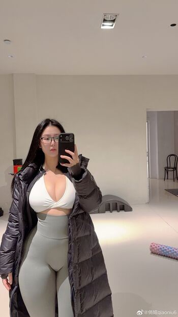 Qiaoniutt 1 page 40 image