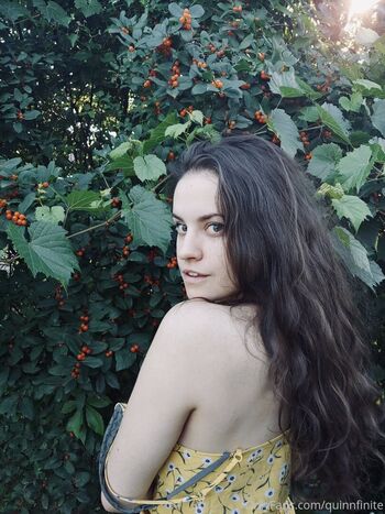 Quinn finite 1 page 2 image