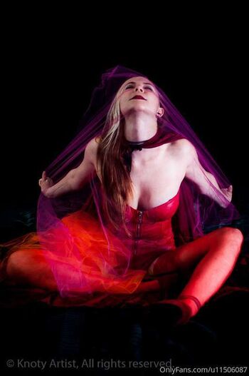 Quinn taylor image