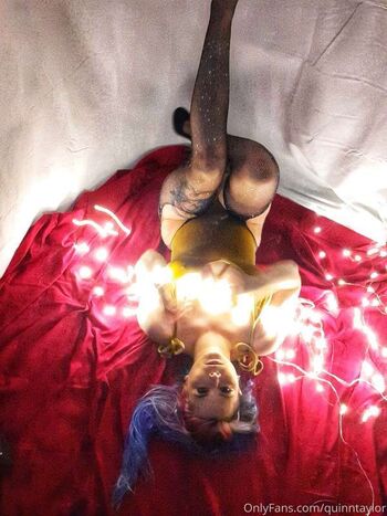 Quinn taylor image