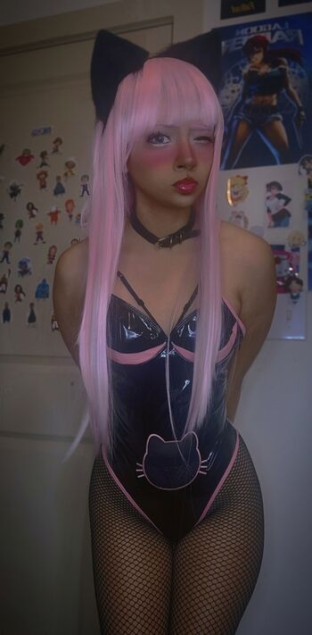 Raddcatt page 3 image