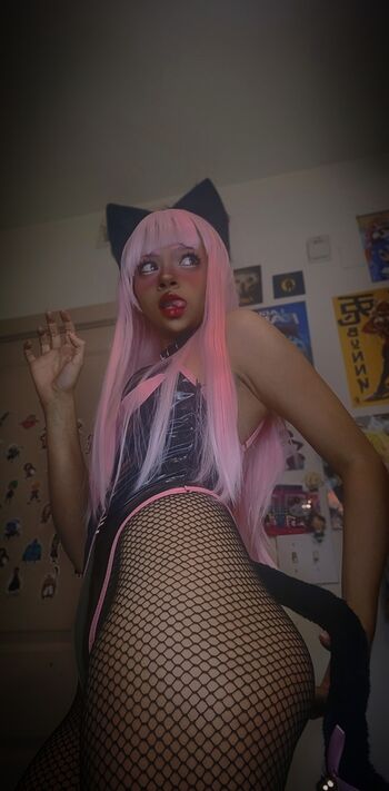 Raddcatt page 3 image