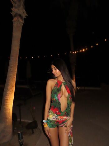 Ramneet chahal image