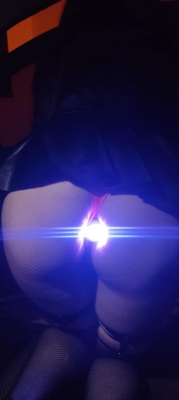 Raposarosada page 2 image