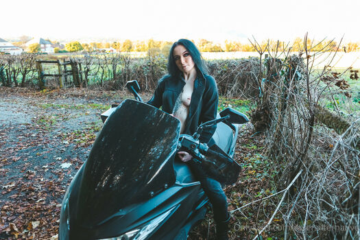 Raven alternative image