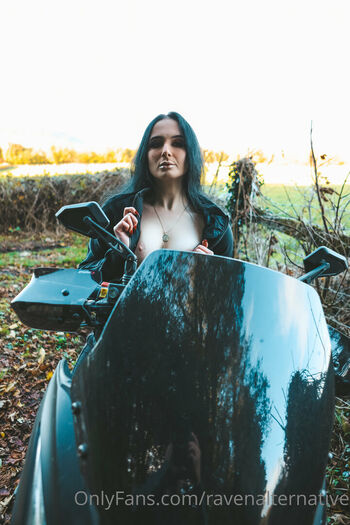 Raven alternative image