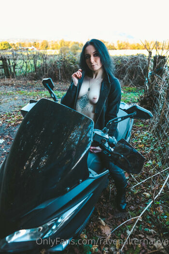 Raven alternative image