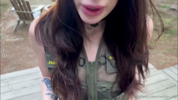 Reislin 1 page 3 image