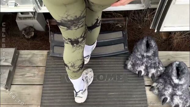 Reislin 1 page 2 image