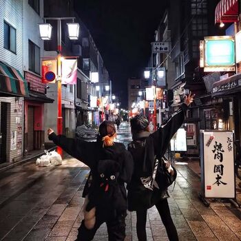 Reitoozaru image
