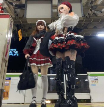Reitoozaru image