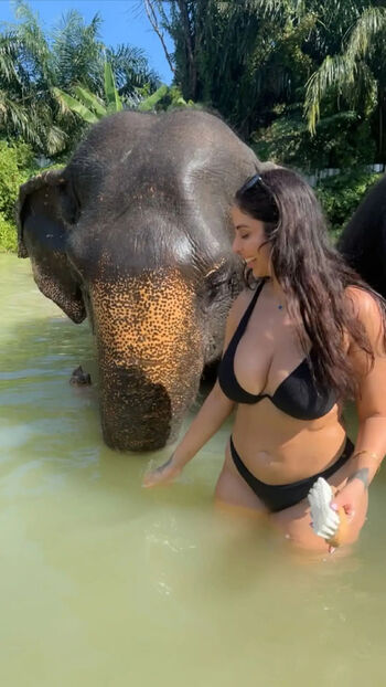 Rere bollywood image