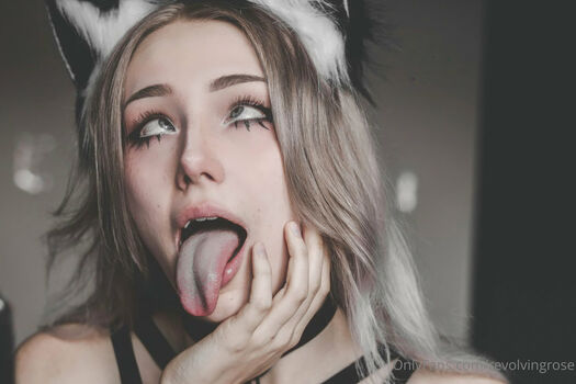 Revolvingrose 1 page 2 image