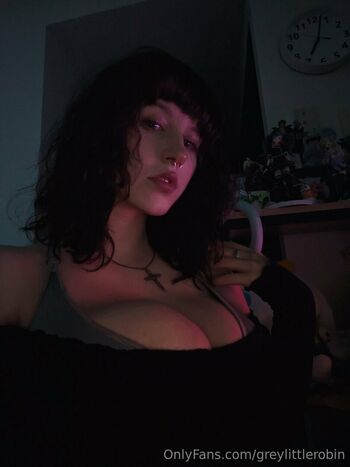 Robin grey page 5 image