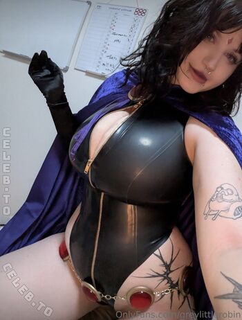 Robin grey image