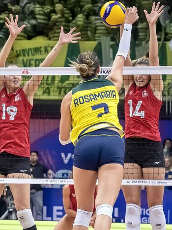 Rosamaria montibeller image