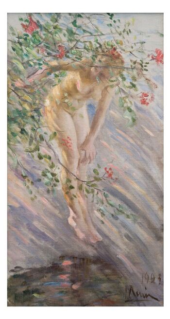 Rosebush image