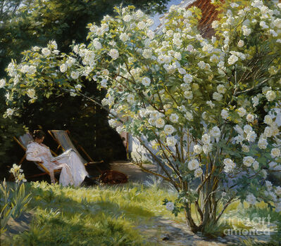 Rosebush image