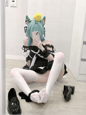 S rodol 2 image