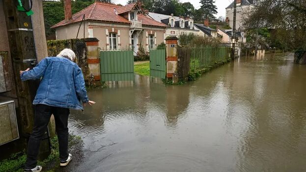 Sabriandreotti image