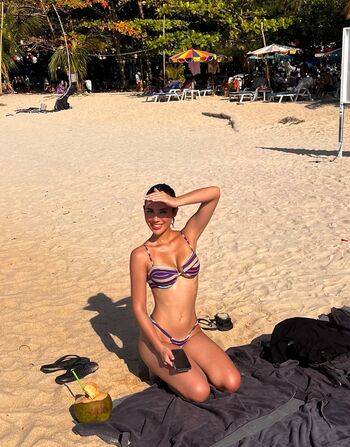 Saffron maya snook image