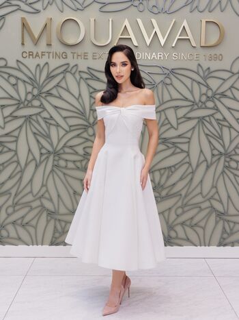 Saffron maya snook image