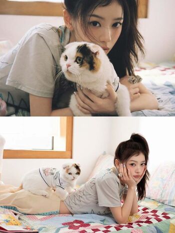 Sakai moka image